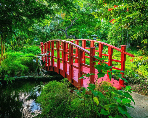 Miami Beach Florida HOA community
