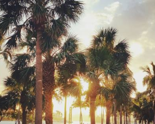 Miami Springs Florida HOA community