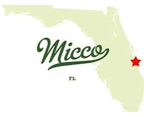 Micco City Image 2