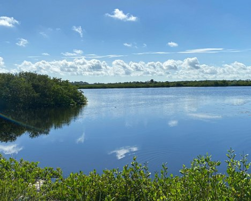 North Merritt Island Florida HOA community