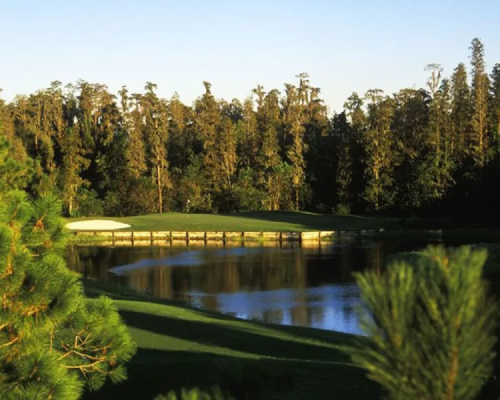 Northdale Florida HOA community