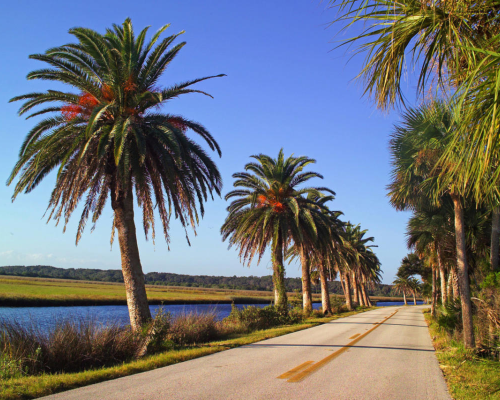 Ormond-by-the-Sea City Image 03