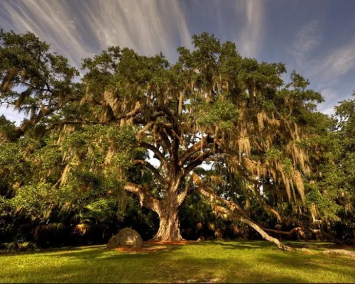 Ormond Beach City Image 01
