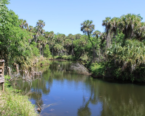 Palm Bay Florida HOA community