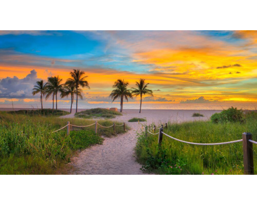Palm Shores City Image 1