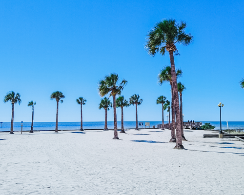 Pine Island City Image 03