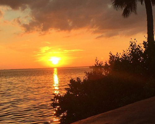 Port Charlotte Florida HOA community