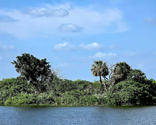 Port LaBelle Florida HOA community