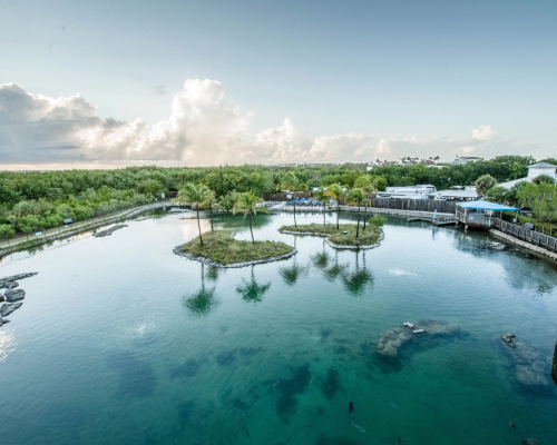 Stuart Florida HOA community