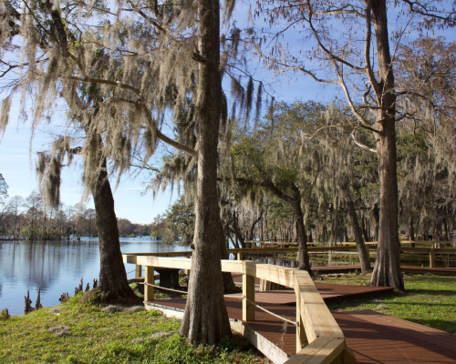 Temple Terrace Florida HOA community