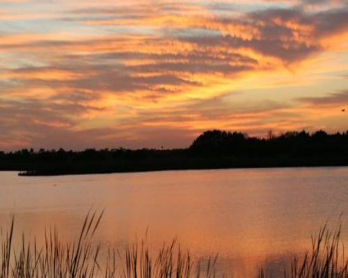 Viera East Florida HOA community