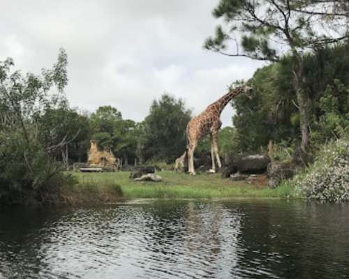 Viera West Florida HOA community