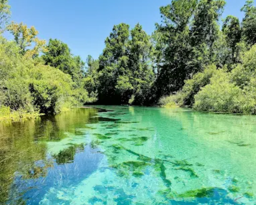 Weeki Wachee Gardens City Image 01