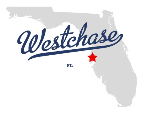 Westchase Florida HOA community