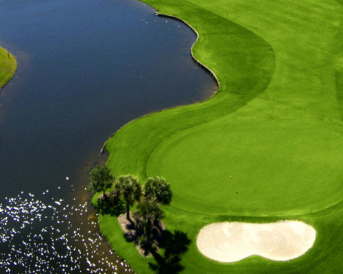 Westchase Florida HOA community